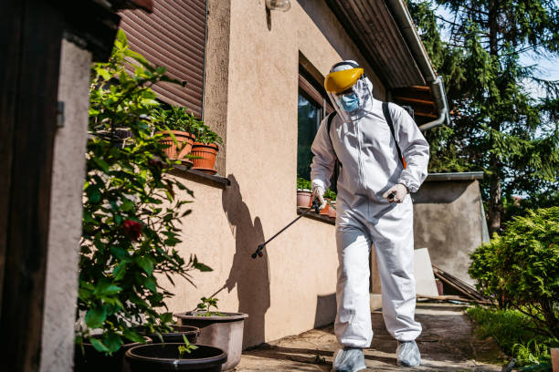 Best Pest Removal Services  in Columbus, OH