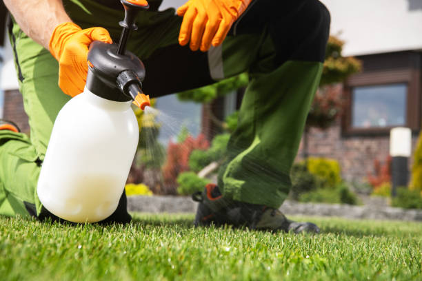 Best Termite Control Services  in Columbus, OH