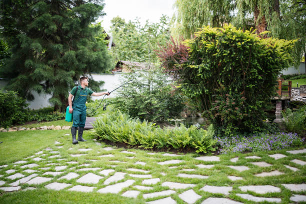 Best Local Pest Control Services  in Columbus, OH