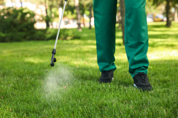 Best Affordable Pest Control Services  in Columbus, OH