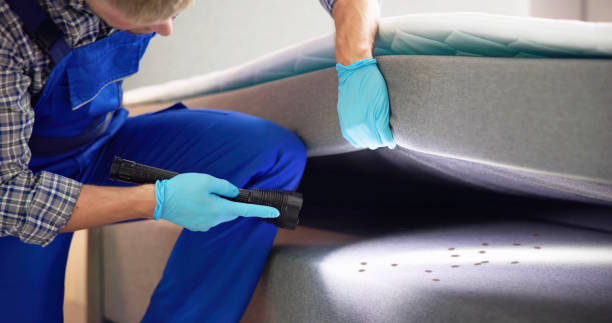 Best Residential Pest Control  in Columbus, OH
