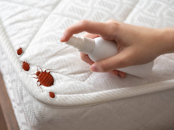 Best Best Pest Control Companies  in Columbus, OH