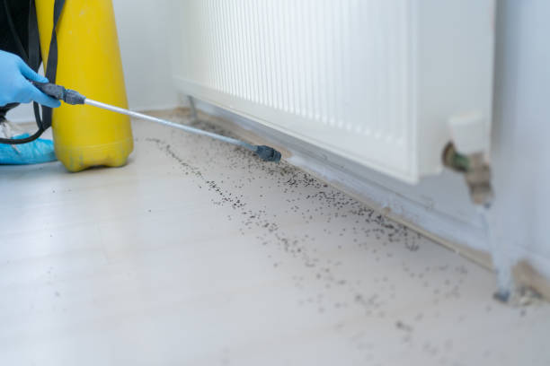 Best Pest Control Near Me  in Columbus, OH