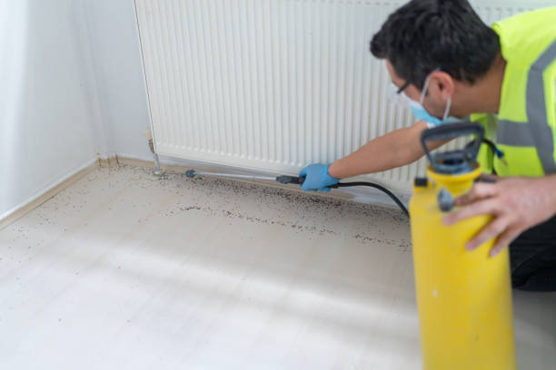 Best Flea Control Services  in Columbus, OH