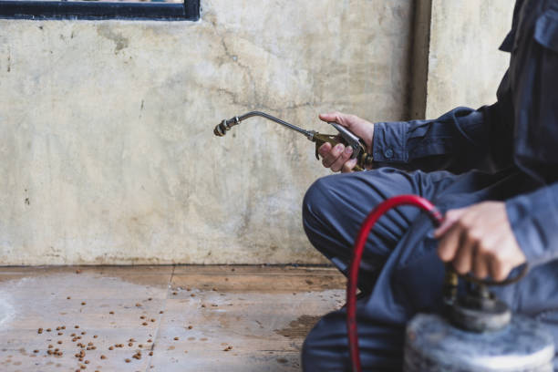 Best Wasp Removal Services  in Columbus, OH